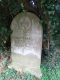 image of grave number 346670